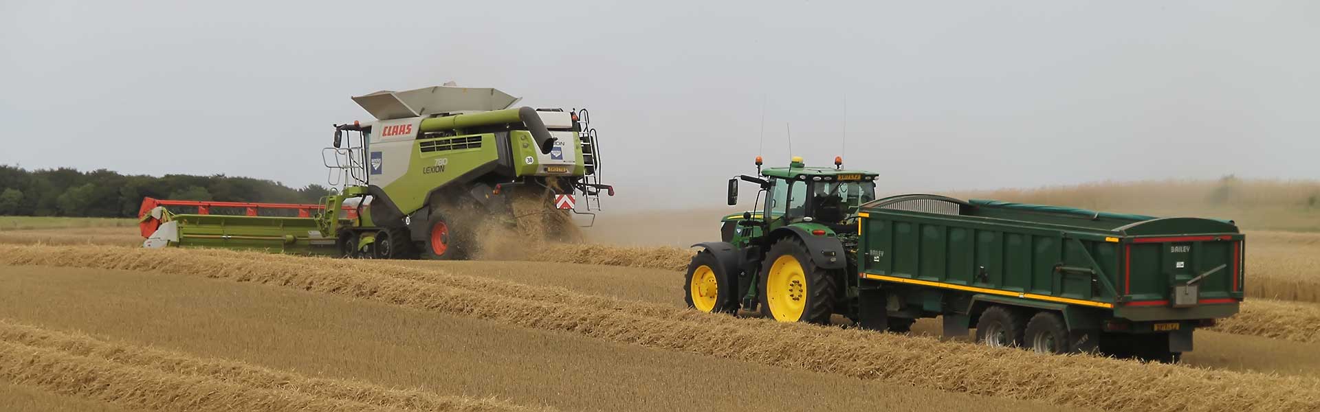 benzies_arable_315